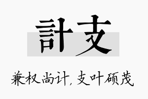 计支名字的寓意及含义