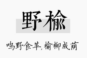 野榆名字的寓意及含义