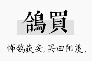 鸽买名字的寓意及含义