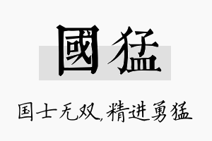 国猛名字的寓意及含义