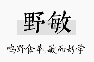 野敏名字的寓意及含义