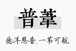 普苇名字的寓意及含义