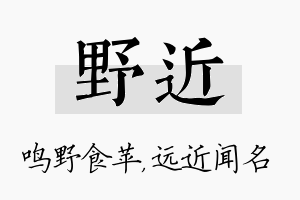 野近名字的寓意及含义