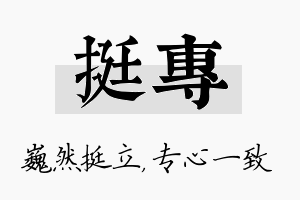 挺专名字的寓意及含义