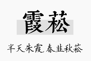 霞菘名字的寓意及含义