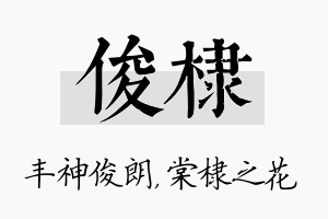 俊棣名字的寓意及含义