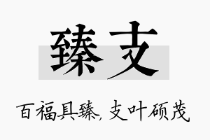 臻支名字的寓意及含义