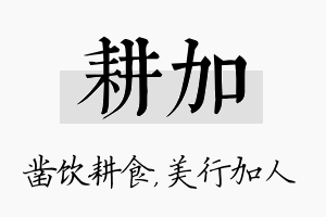 耕加名字的寓意及含义