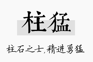 柱猛名字的寓意及含义