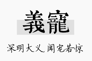 义宠名字的寓意及含义