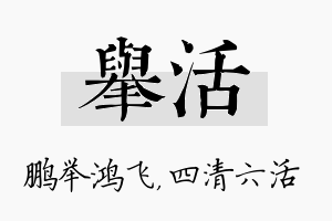 举活名字的寓意及含义