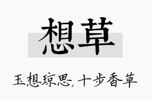 想草名字的寓意及含义