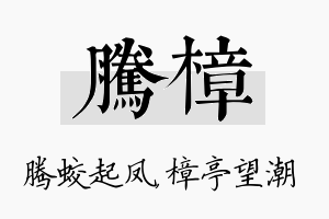 腾樟名字的寓意及含义