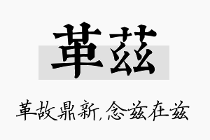 革兹名字的寓意及含义