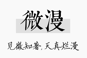 微漫名字的寓意及含义