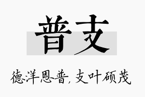 普支名字的寓意及含义