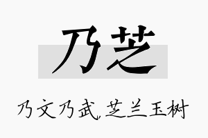 乃芝名字的寓意及含义