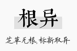 根异名字的寓意及含义