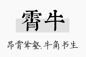 霄牛名字的寓意及含义