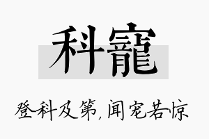 科宠名字的寓意及含义