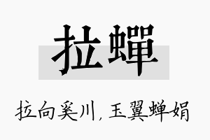 拉蝉名字的寓意及含义