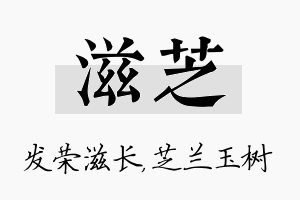 滋芝名字的寓意及含义