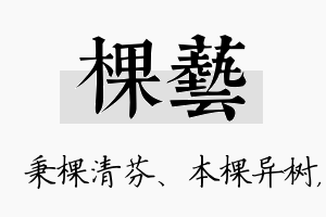 棵艺名字的寓意及含义