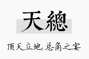 天总名字的寓意及含义