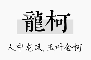 龙柯名字的寓意及含义