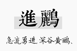 进鹂名字的寓意及含义