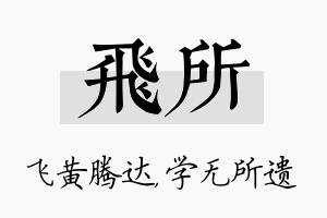 飞所名字的寓意及含义