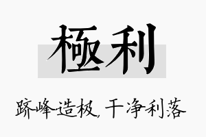 极利名字的寓意及含义