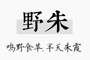 野朱名字的寓意及含义