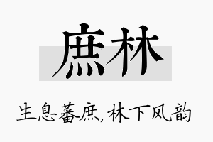 庶林名字的寓意及含义