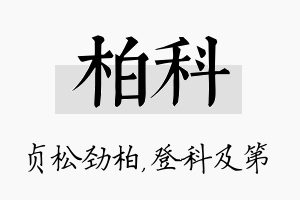 柏科名字的寓意及含义