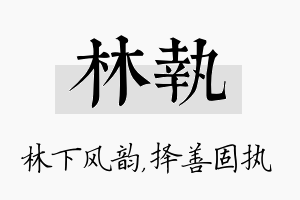 林执名字的寓意及含义