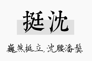 挺沈名字的寓意及含义