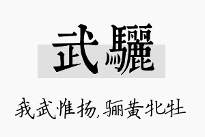 武骊名字的寓意及含义