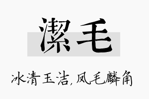 洁毛名字的寓意及含义