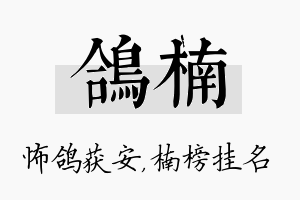 鸽楠名字的寓意及含义