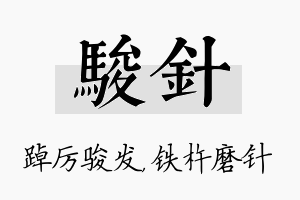 骏针名字的寓意及含义