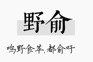 野俞名字的寓意及含义