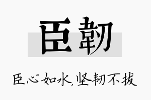 臣韧名字的寓意及含义