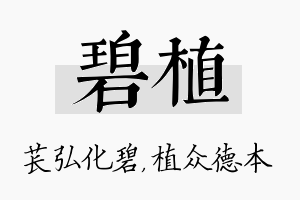 碧植名字的寓意及含义