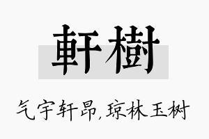 轩树名字的寓意及含义