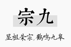 宗九名字的寓意及含义