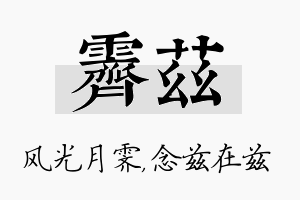 霁兹名字的寓意及含义