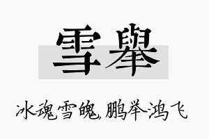 雪举名字的寓意及含义