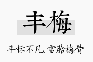 丰梅名字的寓意及含义