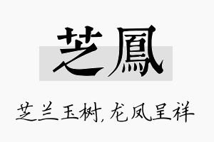 芝凤名字的寓意及含义